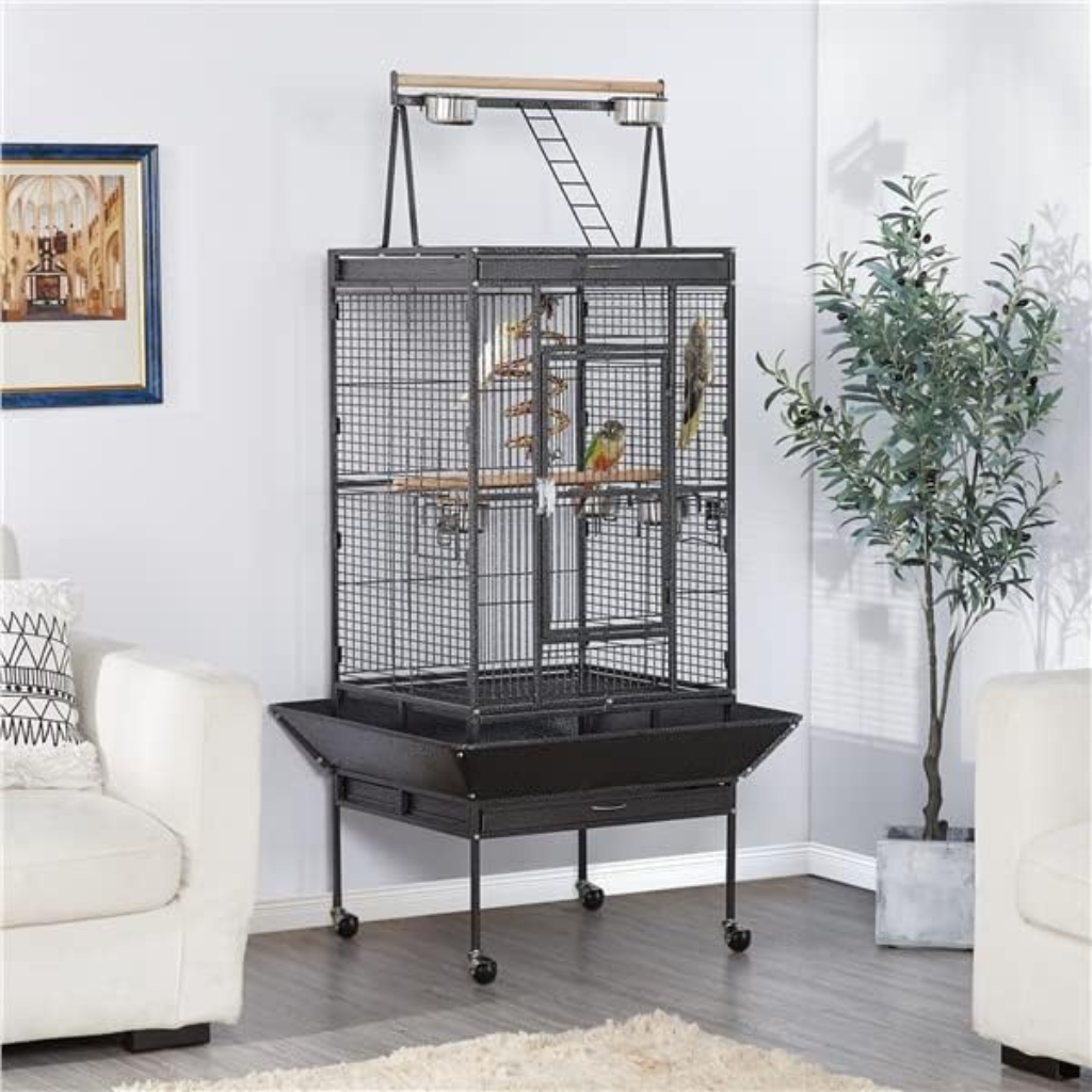 cage-conure-de-molina