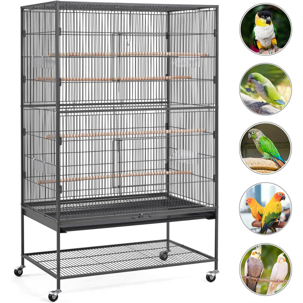 cage-conure-molinae