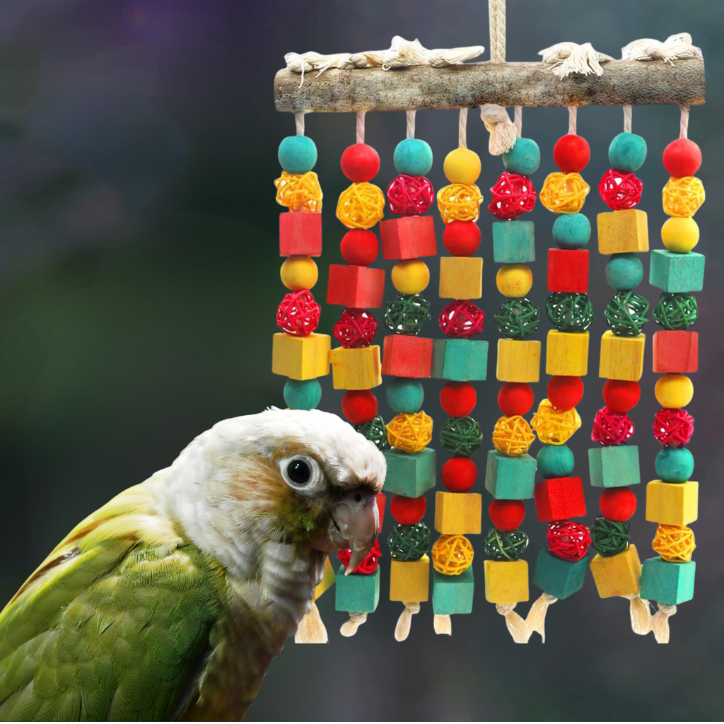 jeux cage pour perroquet