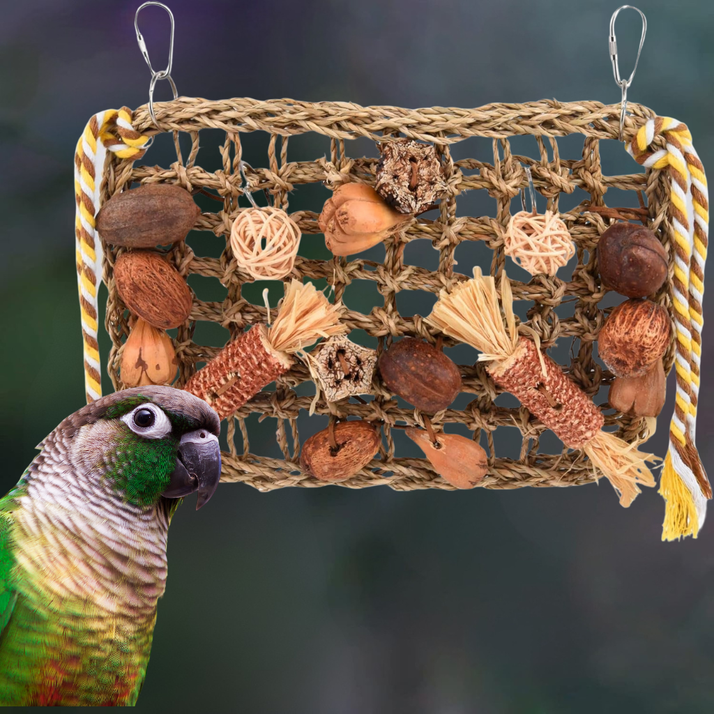 jouet en bois perroquet conure (2)