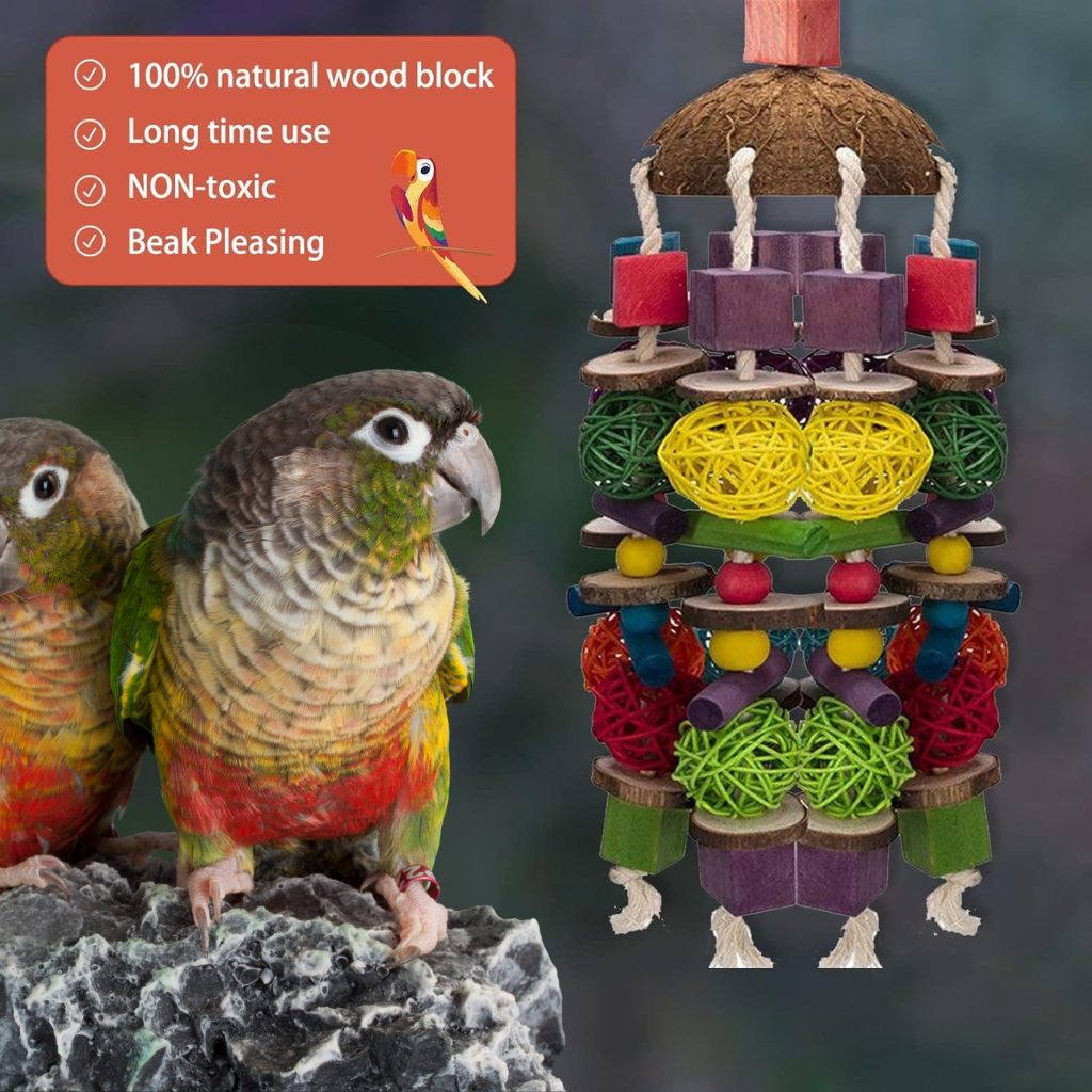 jouet en bois perroquet conure