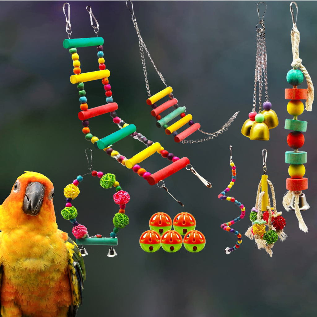 lot de cordes et échelles en bois pas cher pour conures