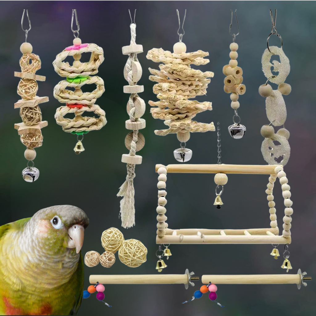 lot de jouets pas cher pour conures