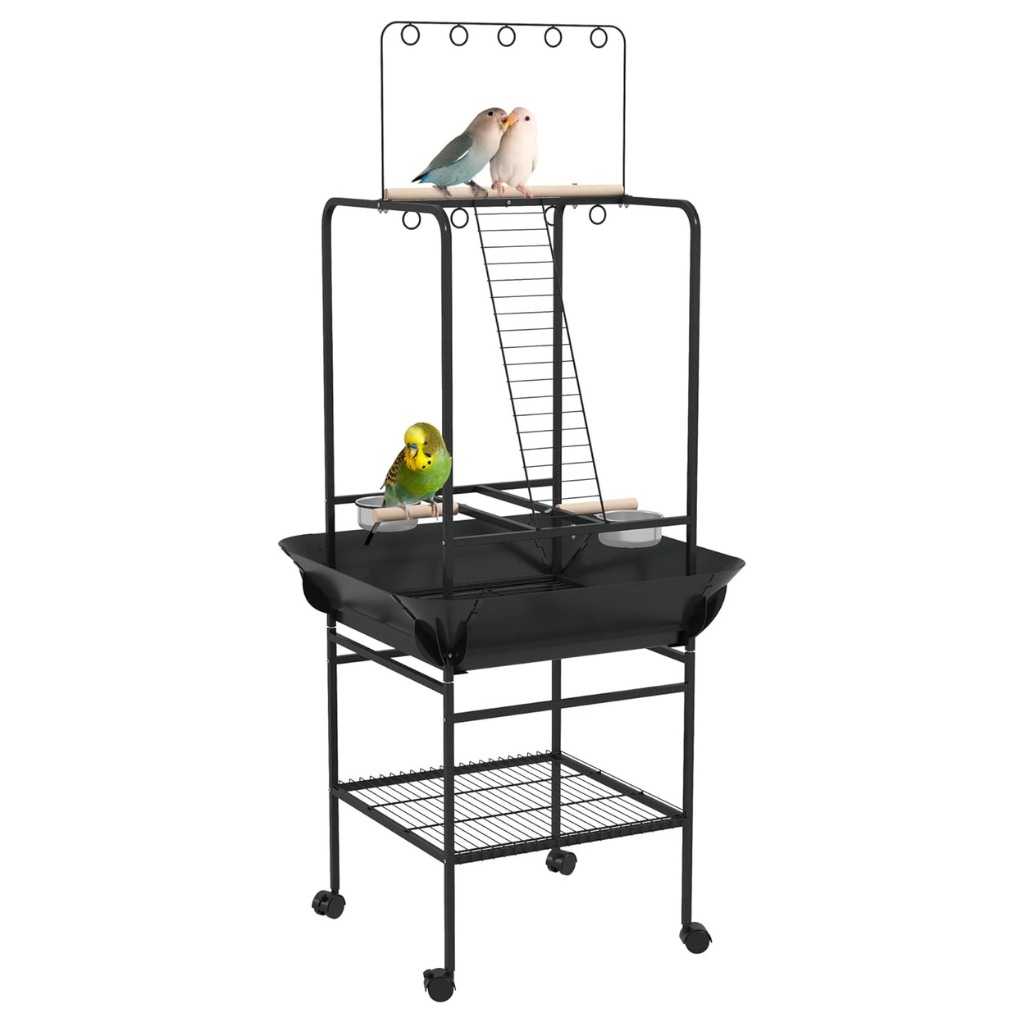 accessoires pour conures