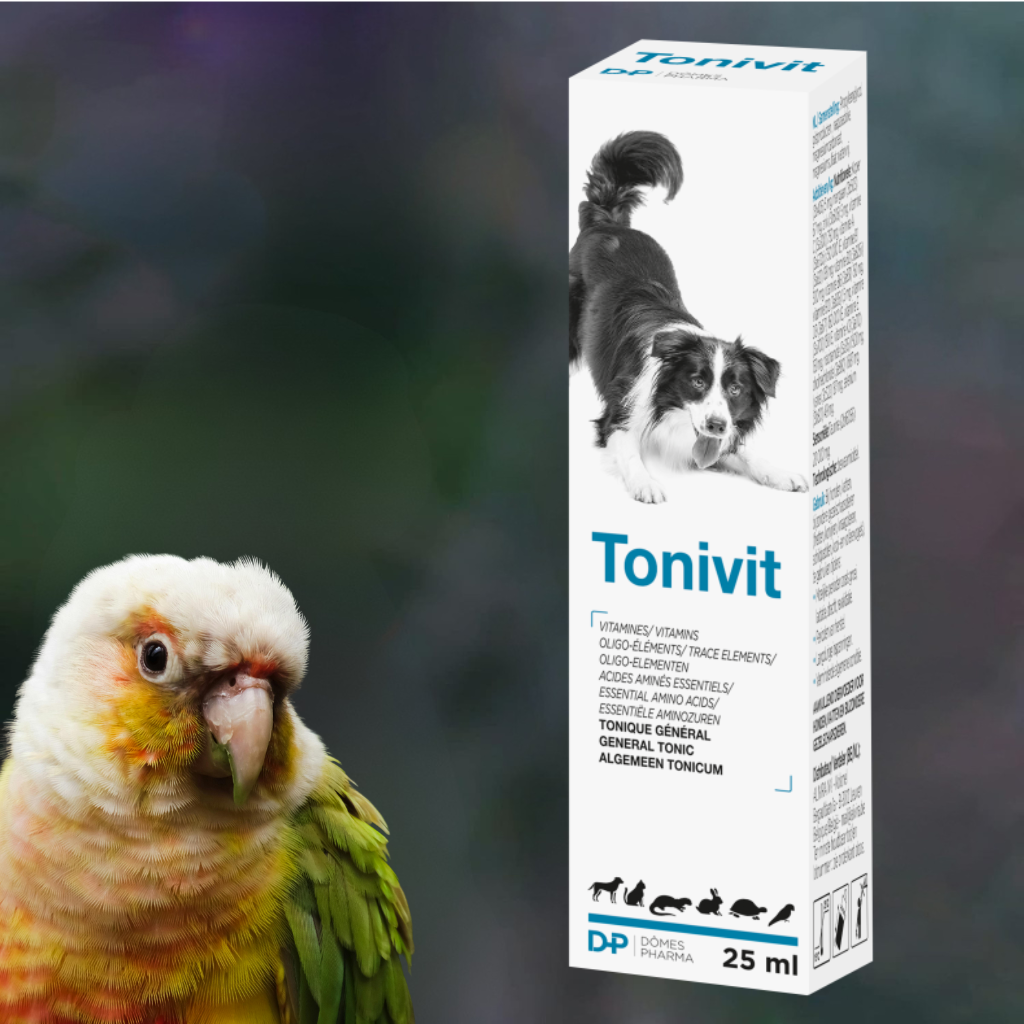 vitamines et compléments alimentaires conure