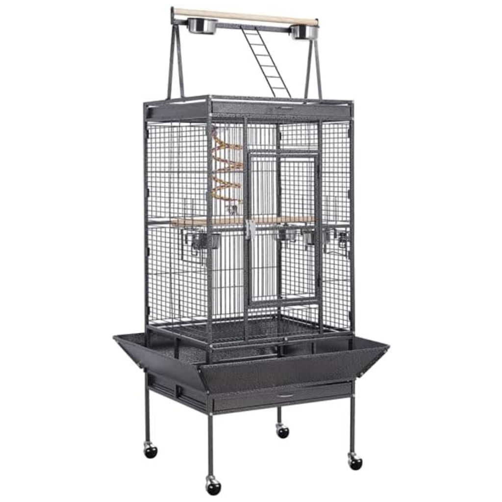 cage-conure-joues-vertes