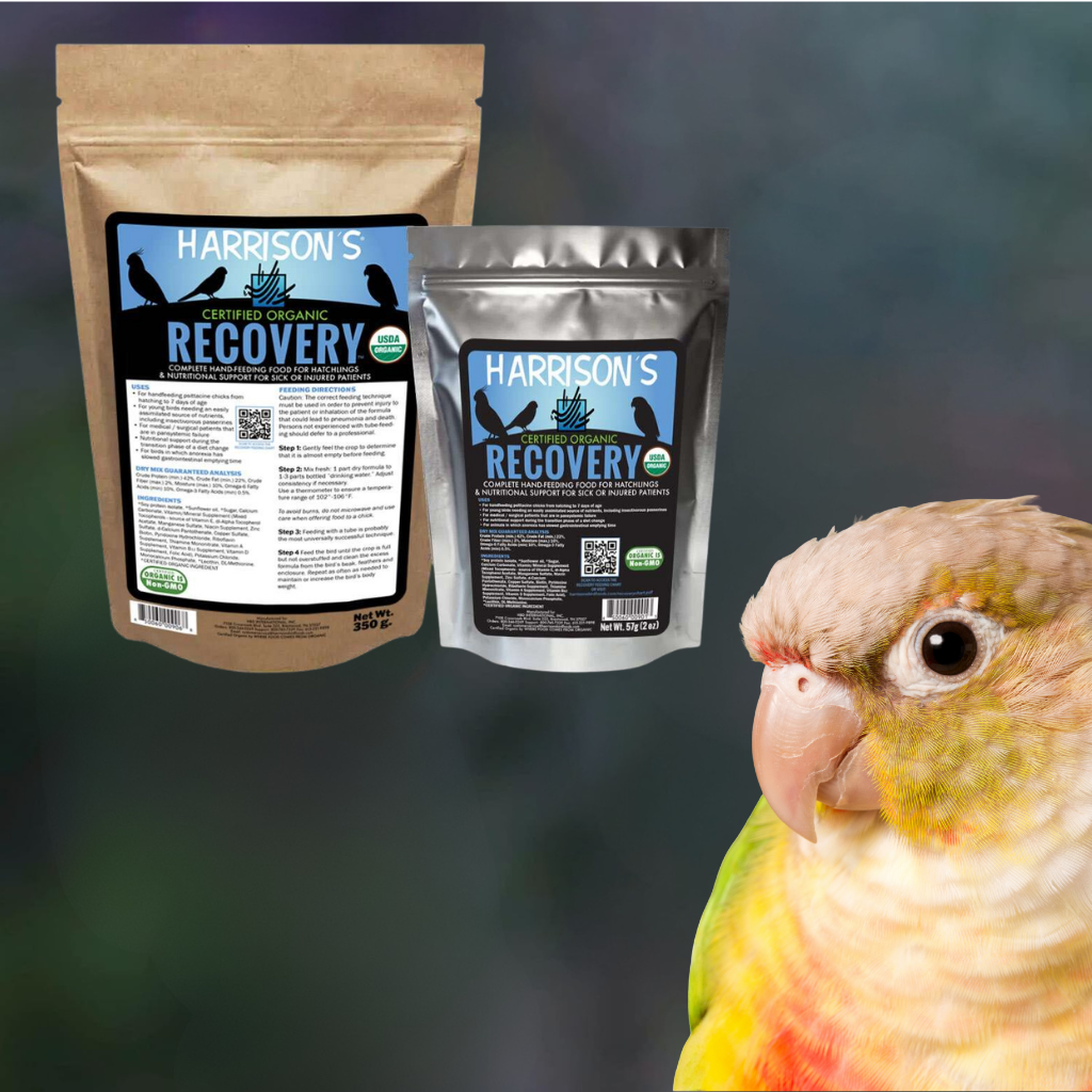 Fortifiant pour conure (1)