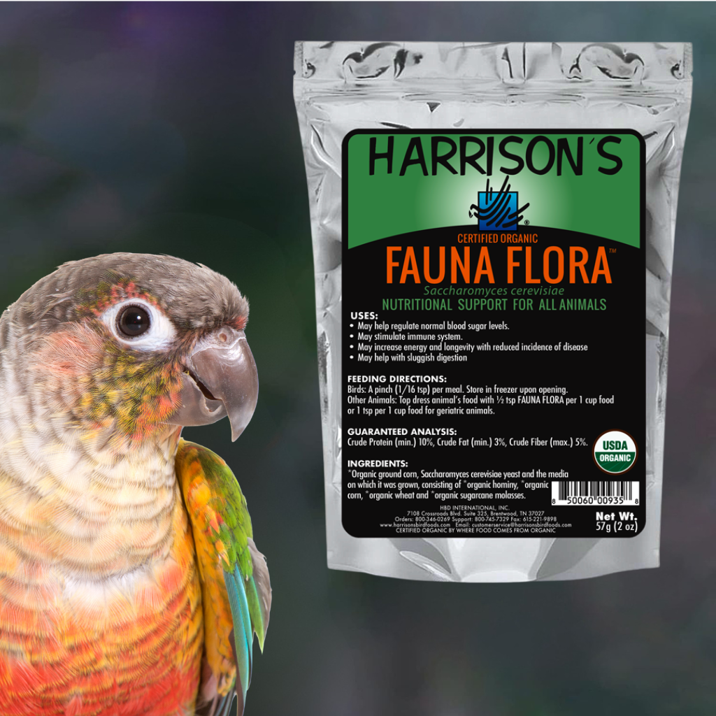 Probiotiques pour conures