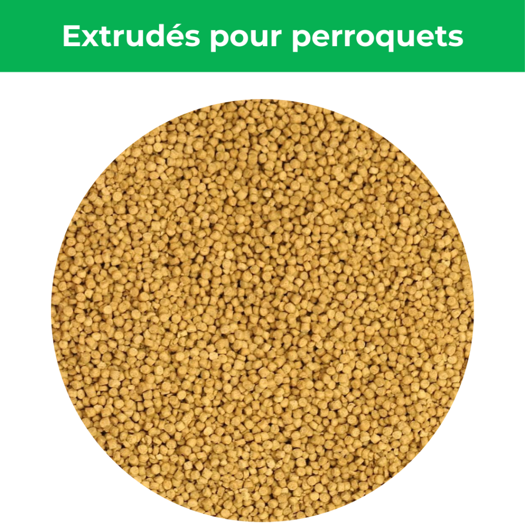 nourriture pour conure