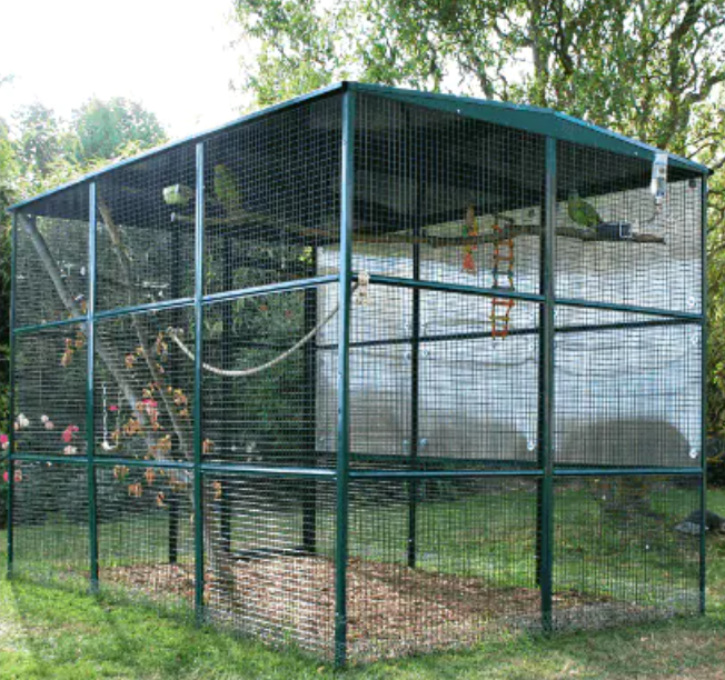 volière-pour-conure